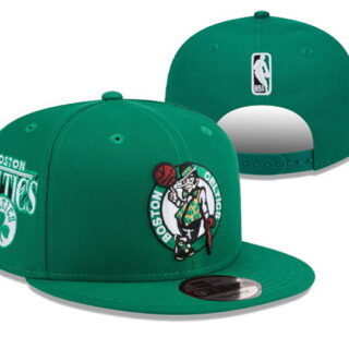 Boston Celtics Stitched Snapback Champions Hats 041
