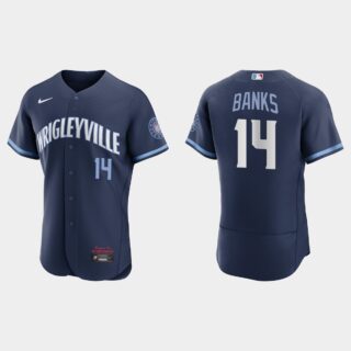 Chicago Cubs #14 Ernie Banks Men's Nike 2021 City Connect Authentic Navy MLB Jersey