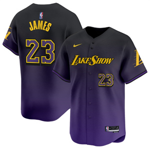 Men's Los Angeles Lakers 2024-25 City LeBron James #23 Vapor Baseball Jersey