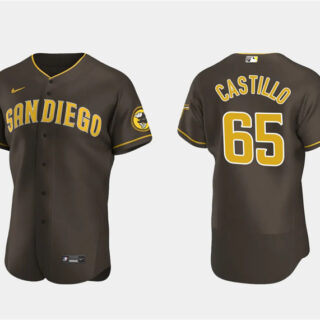 Men's San Diego Padres #65 Jos?? Castillo Brown Flex Base Stitched Baseball Jersey