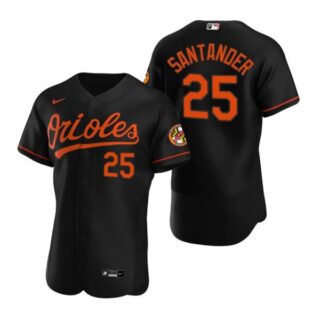 Men's Anthony Santander Baltimore Orioles Flex Base Jersey Black