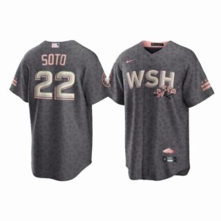 Men's Cool Base Juan Soto Washington Nationals Gray 2022 City Connect Cherry Blossom Jersey