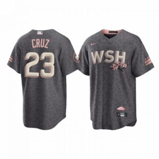 Men's Cool Base Nelson Cruz Washington Nationals Gray 2022 City Connect Cherry Blossom Jersey